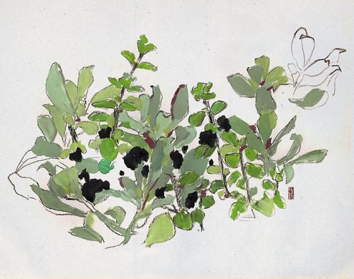 elliscky: New plants, tempera and charcoal on paper