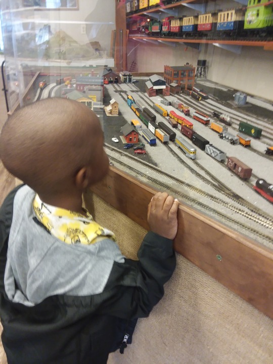 just-call-me-vendetta:The kid had an awesome birthday. 2 days of gifts and a trip to the Model Train Museum. Then we wound up in the ER. The sniffles turned into mild pneumonia. So now he gets extra TLC from Mommy and “pink stuff” for the