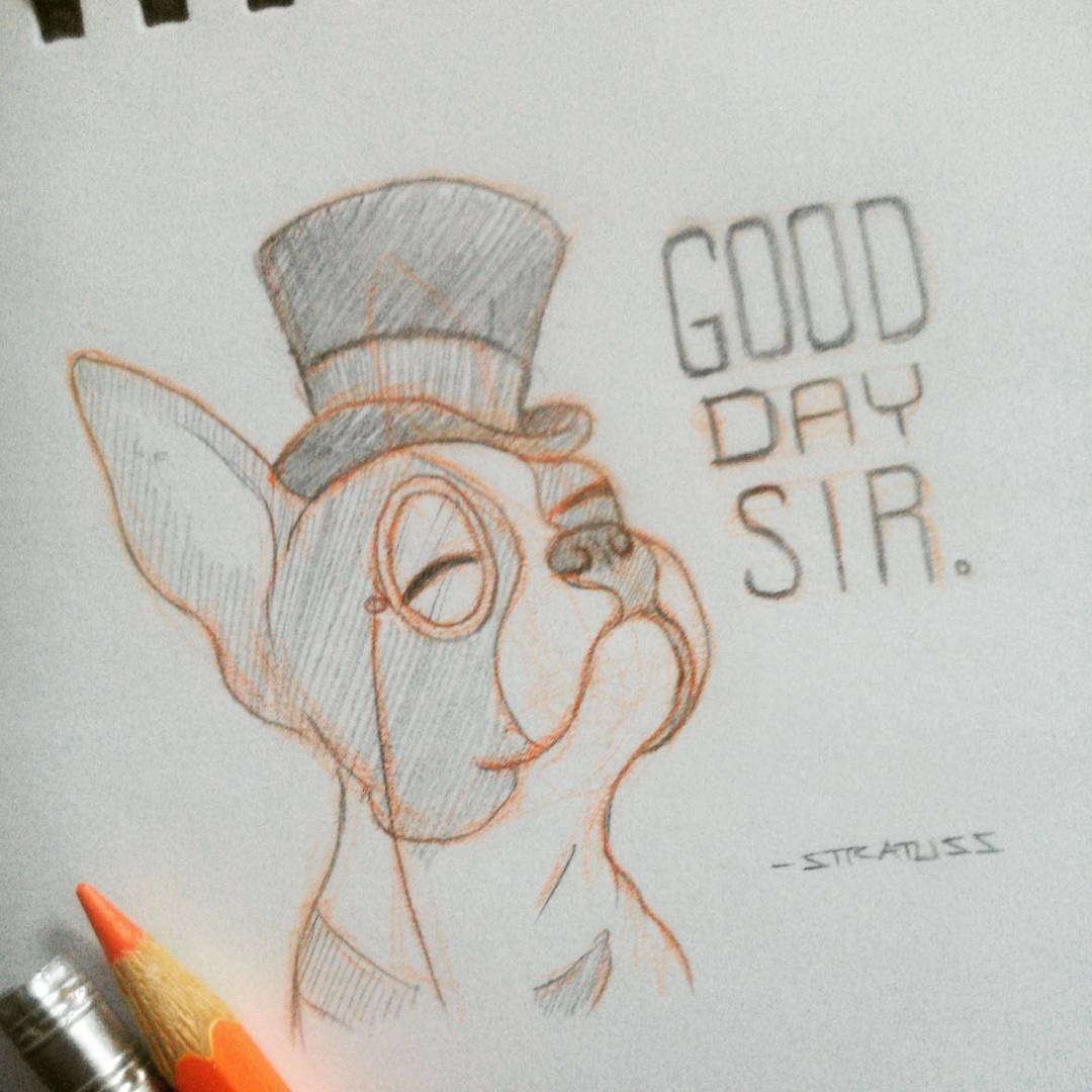 stratuss:  Good day sir, I said good day. Lol  #dog #bostonterrier #fancy #gooddaysir