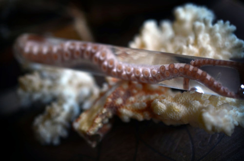 Test Tube Bottled Octopus Tentacle by LadyLocksCreations