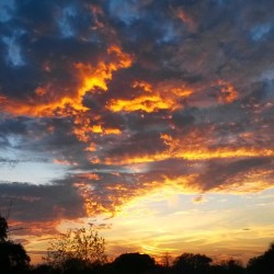 Incredible #southern #sunset in #NewOrleans #nola #citypark #nature #gratitude - what a long strange #mardigras trip it has been! Thank you for an amazing #femdom #foodie #vacation #MardiGras2015