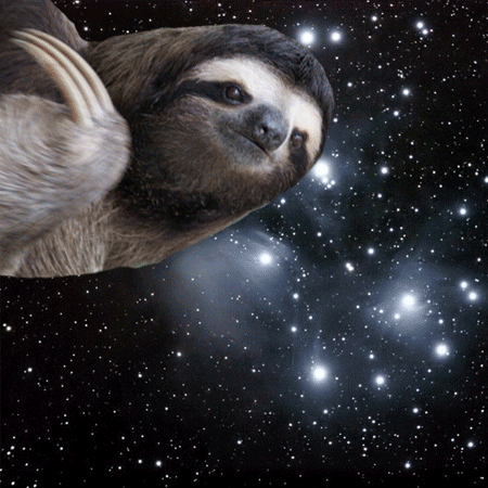 Porn omgslothsinspace:  The sloth overlords wish photos