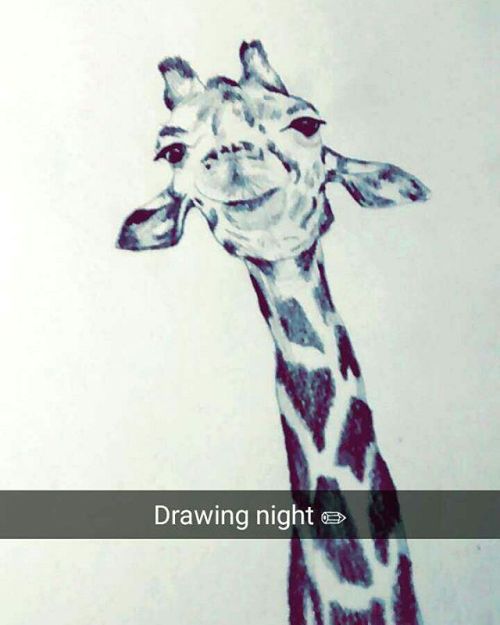 Snapchat: nathalia11.re #drawing #draw #giraffe #cute #animal