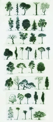 talesfromweirdland: How to draw different types of trees.
