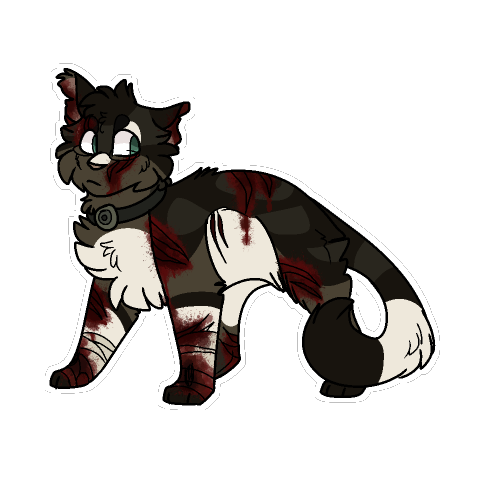 dragofelid