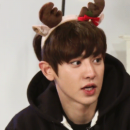 sefuns:  most handsome reindeer :)