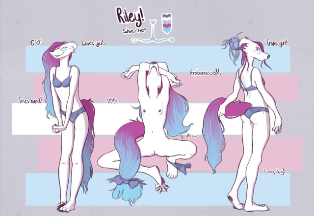Riley’s got a new look! I’ve never loved her so much. u w u LEGDOG. #mySona#Riley#Reference Sheet#Trans#Transgender#Dog#Furry#Anthro #I forget how much I care about tags ;xD  #I LOVE YOU