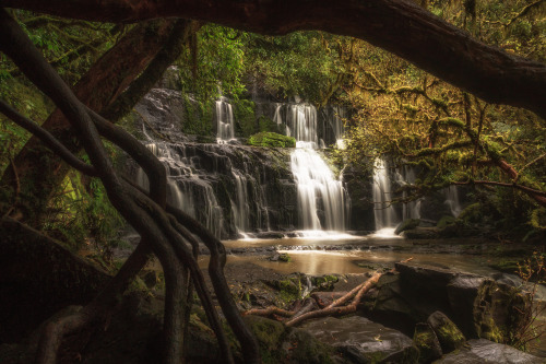 Purakaunui Falls, Catlins, New Zealand. by Wayne Winder