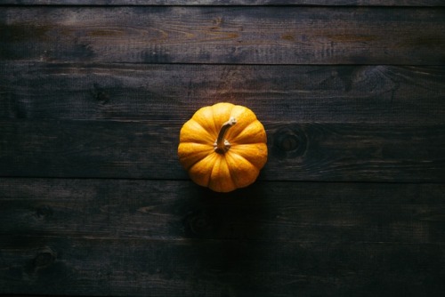 autumnalsoul: Photo by Patrick Fore on Unsplash