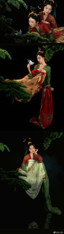 [Hanfu · 漢服]China Tang Dynasty Chinese Traditional Clothing Hanfu Photoshoots——————————Photo & S