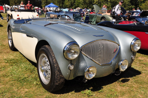 carpr0n: Starring: ‘56 Austin Healey 100  by Jim Culp