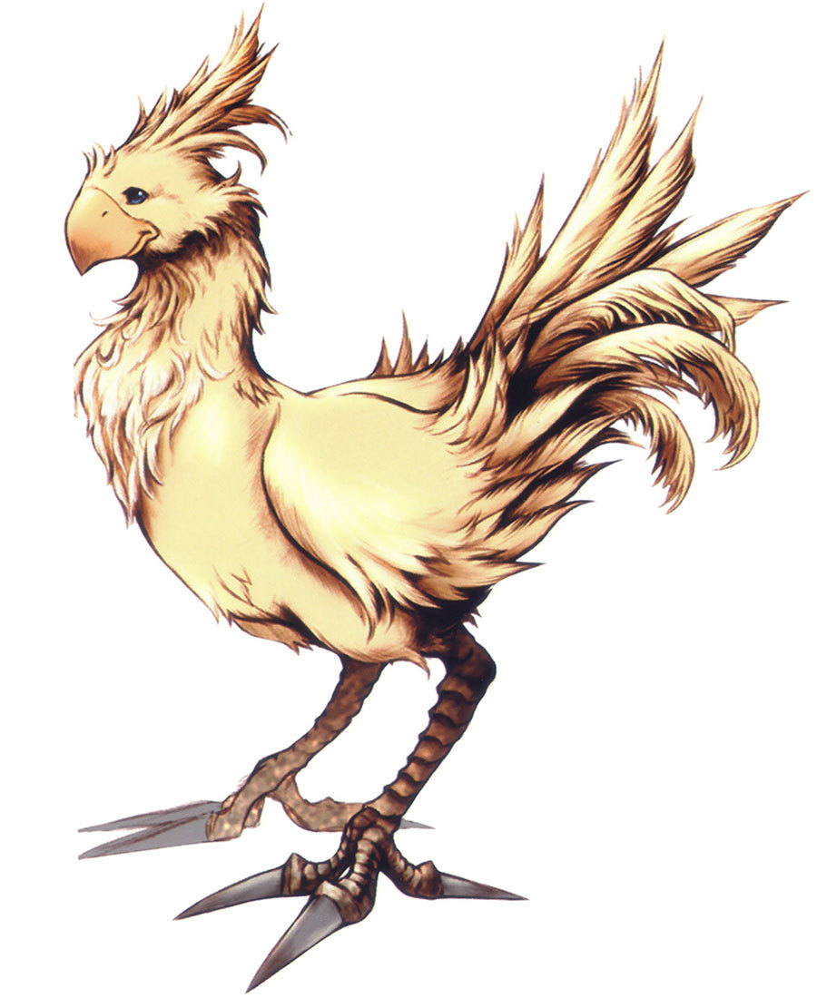unseens:  Somethin bout those chocobos 