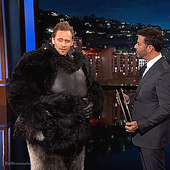 thehumming6ird:Classic Hiddles Moments: Gorilla!Tom (2016)