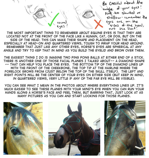 I haven’t drawn many horses, but this is an incredible resource! 