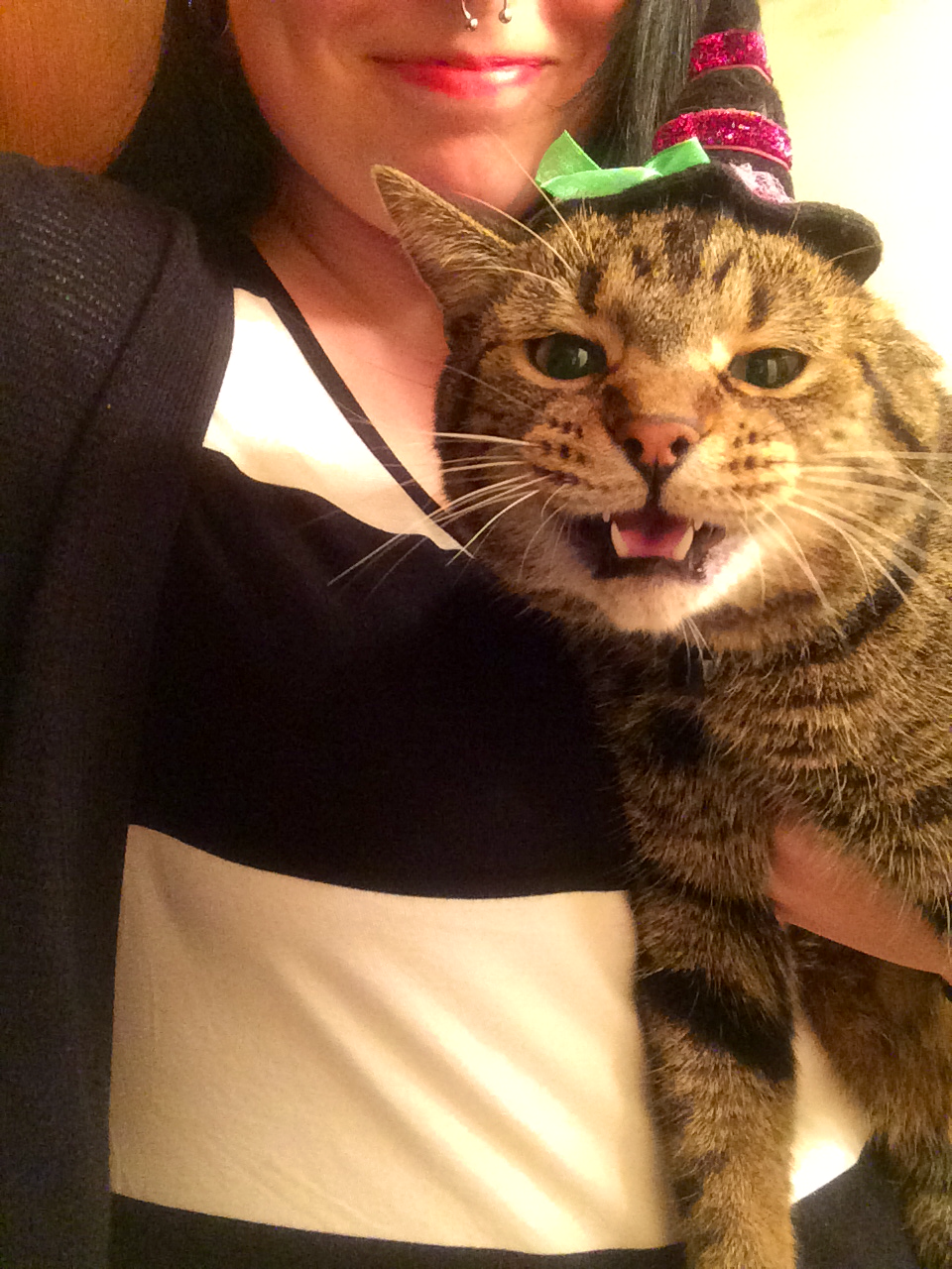 spooky-scary-feminist:  isawthew0lf:  Rambo doesn’t like Halloween. Or me. Mostly