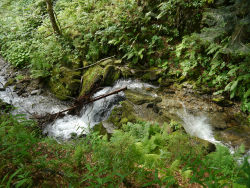 90377:   	Station 4 - Bach unterhalb / Creek below by Rudi Valtiner 