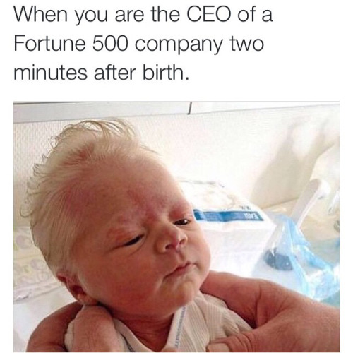 crime-she-typed:  jaye-b-chillen:  supremeth0t:  “that baby credit score is 720 right now as an infant”  Lmfaaaaooooo  I wasn’t even gonna reblog until that first caption 😂😂😂