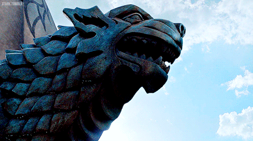 sansas: House Stark symbols in Game of Thrones 8x06: The Iron Throne