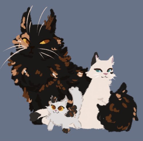 A digital drawing of three cats. The one in the back is a large tortie Norwegian Forest Cat with yellow eyes. The cat sitting to the right is mostly white with a black ear, spot under the eye, and a black tip of the tail. The cat has blue eyes. The final cat is a kitten in front of the two, and is mostly white aside from black tortie spots on the ear, back, and on the front left paw. The kitten also has yellow eyes.