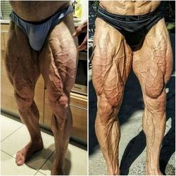 Musculos, Roids y Osos