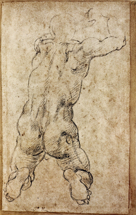 michelangelogallery: Michelangelo Figure Drawing