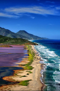 redwingjohnny:  Margarita Island, Venezuela