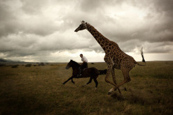 eyesup-heelsdown:  15handsandcounting:  byhorse:  Kenya 2012 Photograph: Bill Phelps http://www.greatplainsconservation.com  -makes gasping sound-  I WANT TO DO THIS   RACING!!