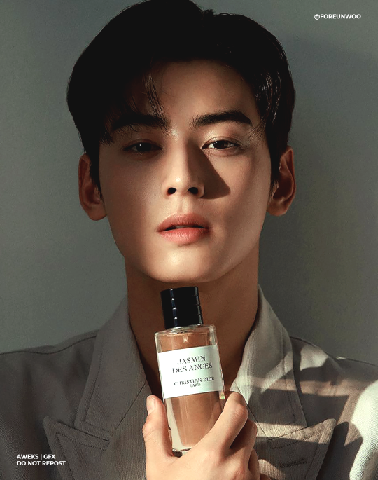 CHA EUNWOO INTERNATIONAL (Fan Account) on X: 📍Dior Beauty Kakao