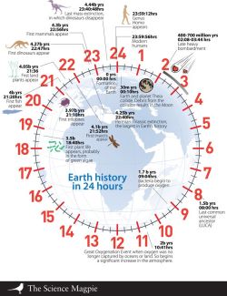 spaceexp:  Earth’s History Scaled to 24