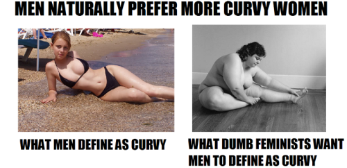 Ignoring the vaguely angry and inappropriate picture/caption on the right, TOTALLY.  When I say curvy… I mean CURVY.  Its not code for overweight ffs…
