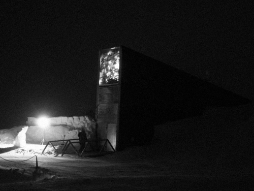 mamiffer: The seed vault on Svalbard (Pic I. Quaile 2010)Foto: Mari Tefre/Svalbard Globale frø