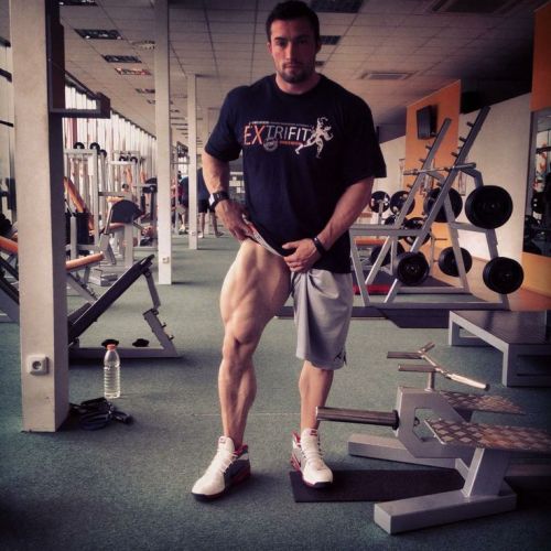 musclepuppy:Leg Day
