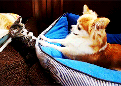 I bet these two could get along well&hellip;