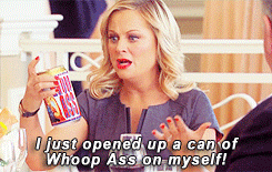 Bokayjunkie:  [Get To Know Me Meme] 10 Female Characters (9/10): Leslie Knope (Parks