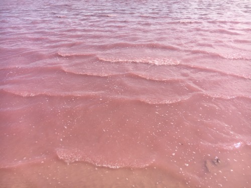 0neira:The Pink Lake, Victoria