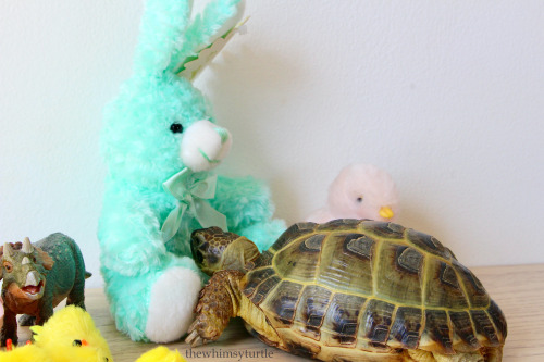 Hoppy Easter, friends!    Wishing you all an egg-stra delicious holiday!  