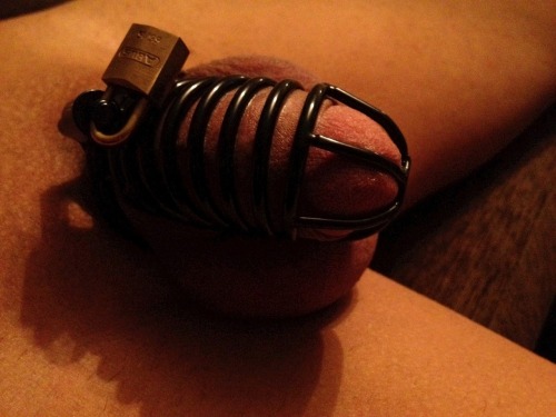 chastymaster: Pretty.