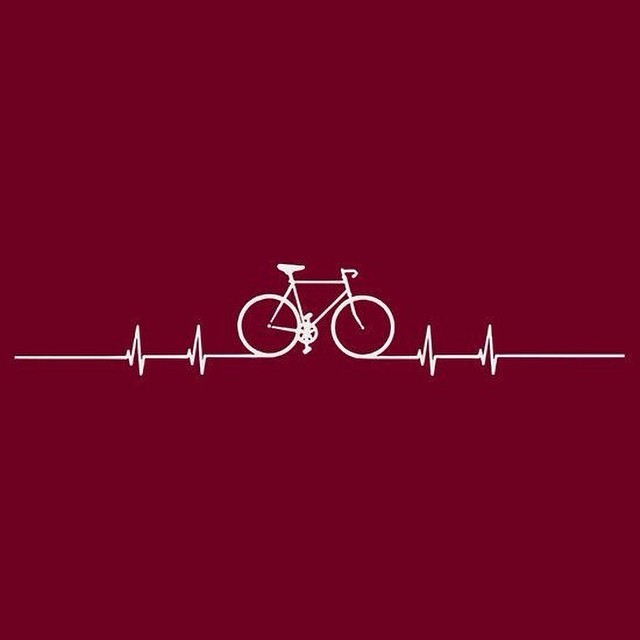 fitroadie:  #bike #bikelove #cyclist #cyclingadventures #longbikerides #getfit #fitlife