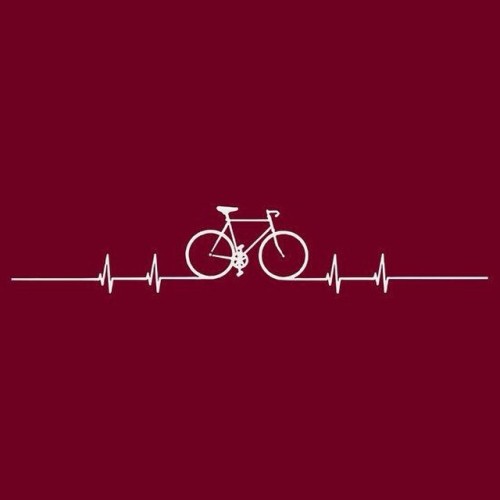 fitroadie: #bike #bikelove #cyclist #cyclingadventures #longbikerides #getfit #fitlife #fitness #fi