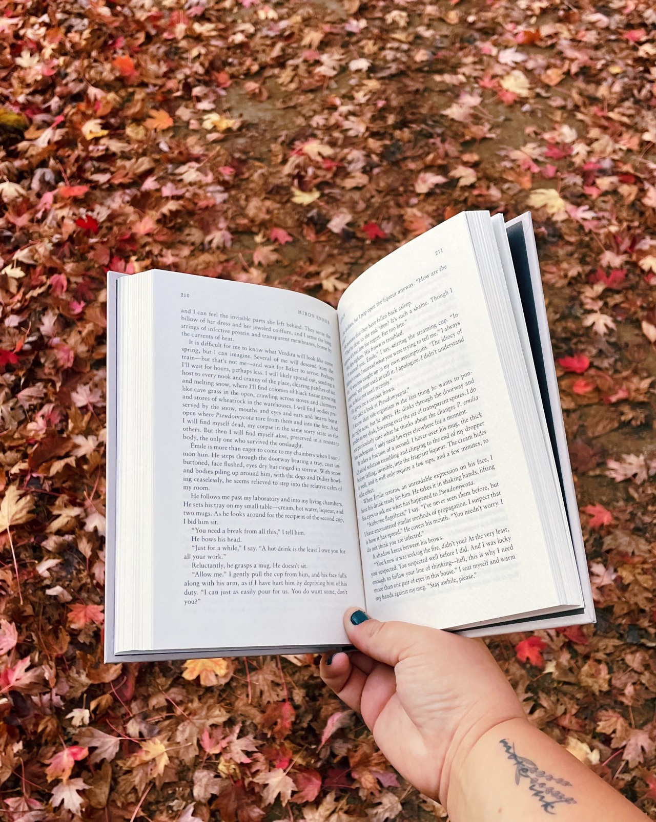 “A wind has blown the rain away and blown the sky away and all the leaves away, and the trees stand. I think, I too, have known autumn too long."—ee cummings