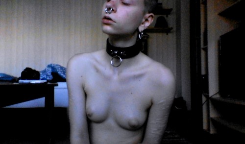 lifehunger:  new collarstufedpenguin look!! ♥   