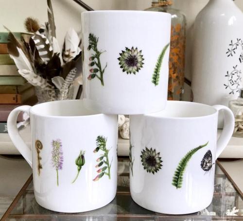 Botanical Mug //AnnaDowdArt