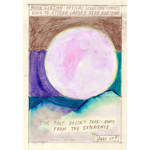 Open Letter To Sleep, Day 14