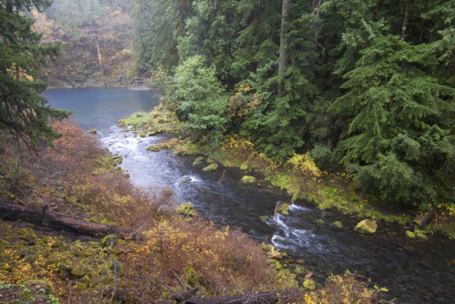 McKenzie River and Tamolitch Pool by Jérémy RONDAN