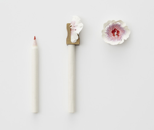 escapekit:  Paper flowers Designer Haruka Misawa creates beautiful flowers out sharper shavings. Pri