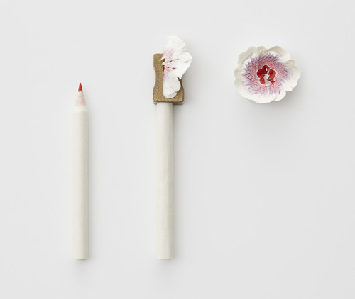 The delicate beauty of Haruka Misawa’s pencil shaving flowerscubebreaker