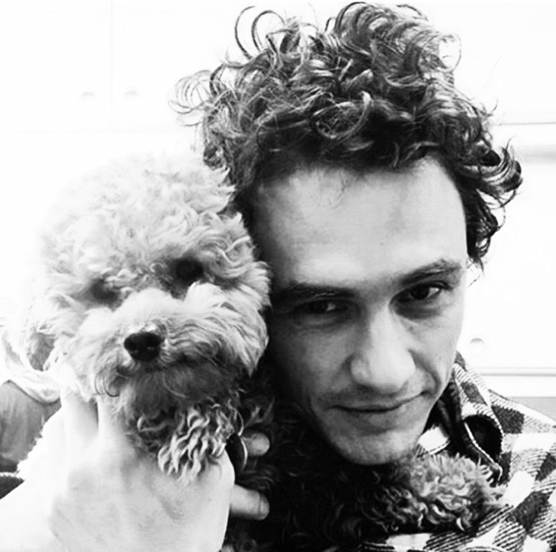 juliascheller:    Men &amp; Dogs  