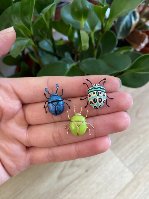 Beetle Pins!