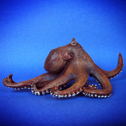 Octopus, Papo, 2014, ID 56013.