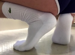 gluteus maximus
